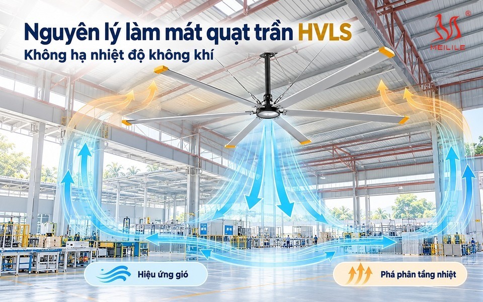 Nguyên lý làm mát của quạt trần công nghiệp HVLS — đường đi của luồng gió qua năm chặng, từ khoảng hút trên cánh tới đường hồi lưu lên mái
