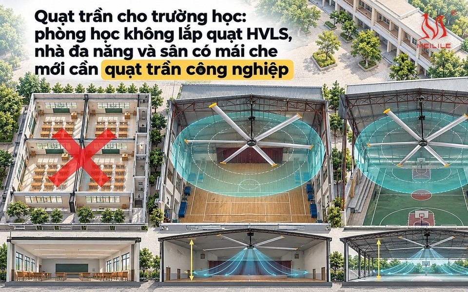 Quạt trần cho trường học