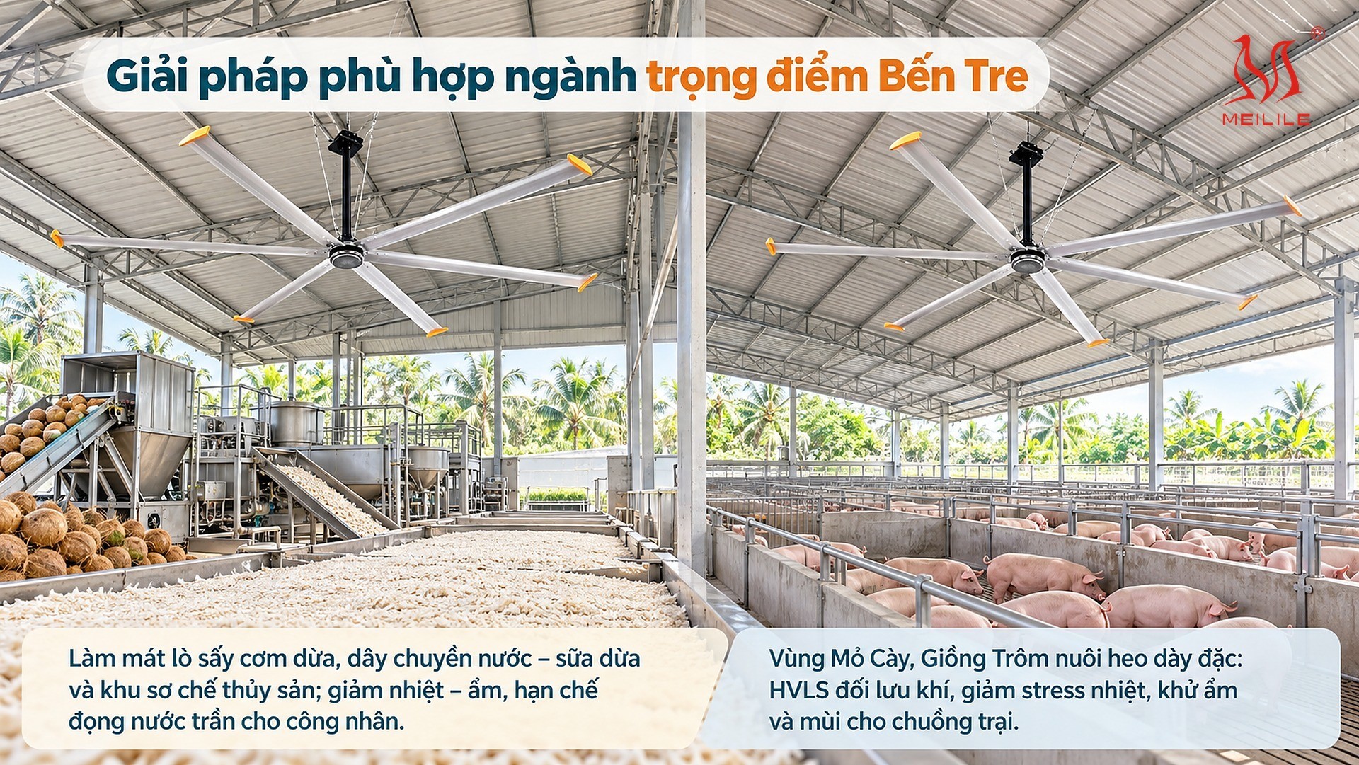 Giải pháp phù hợp ngành trọng điểm Bến Tre