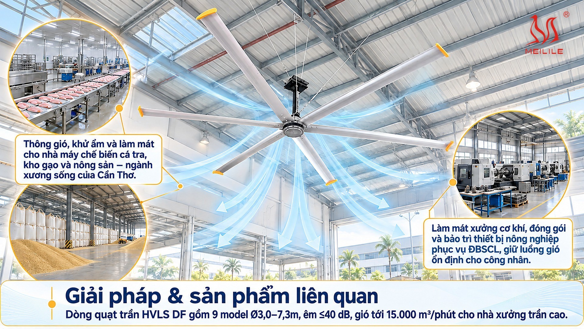 Giải pháp & sản phẩm liên quan