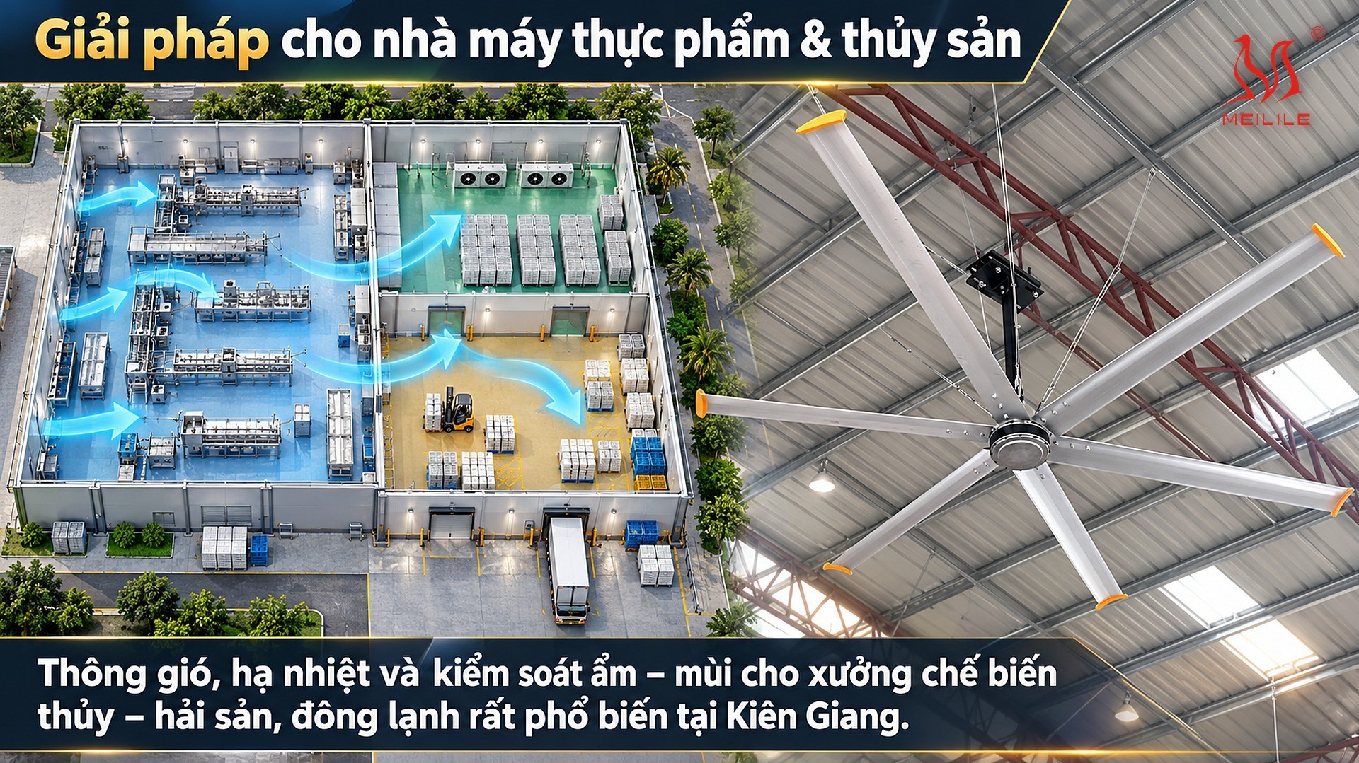 Giải pháp & sản phẩm liên quan