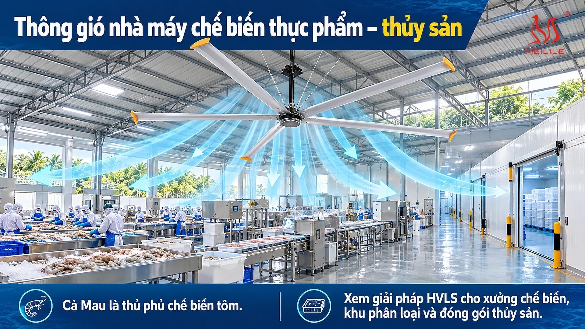 Giải pháp & sản phẩm liên quan