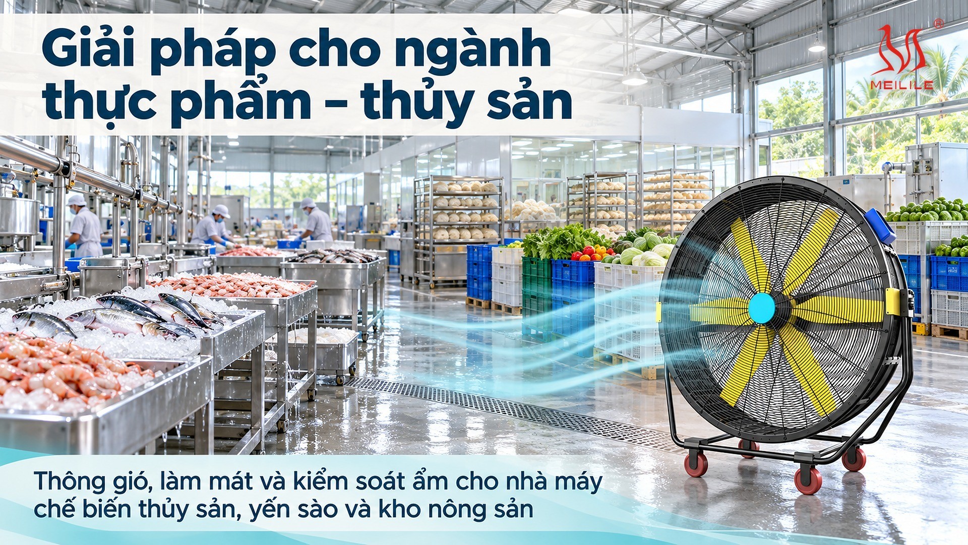 Giải pháp & tài nguyên liên quan