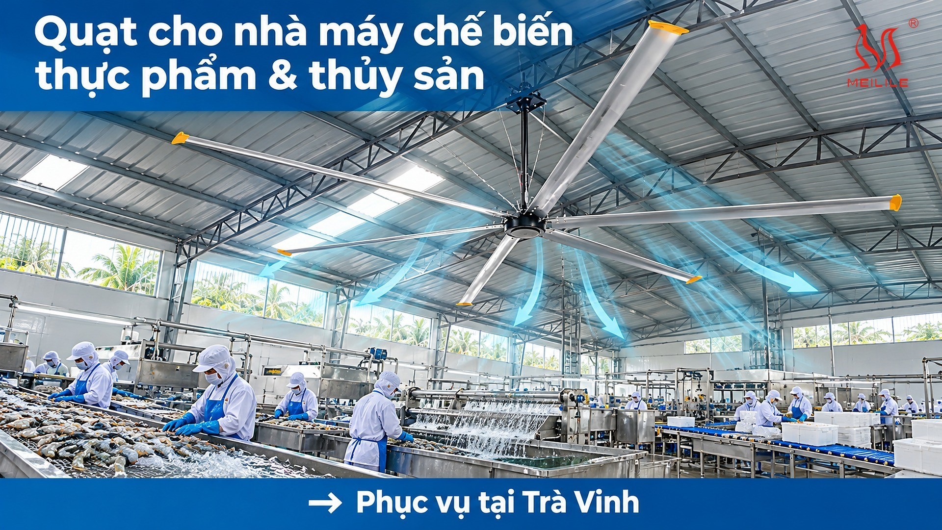 Giải pháp & tài nguyên liên quan