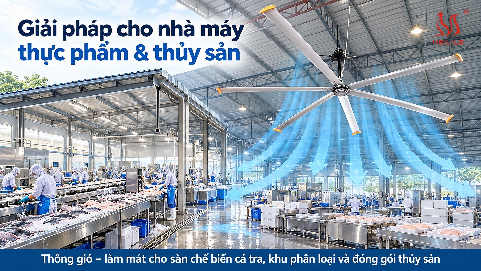 Giải pháp & tài nguyên liên quan