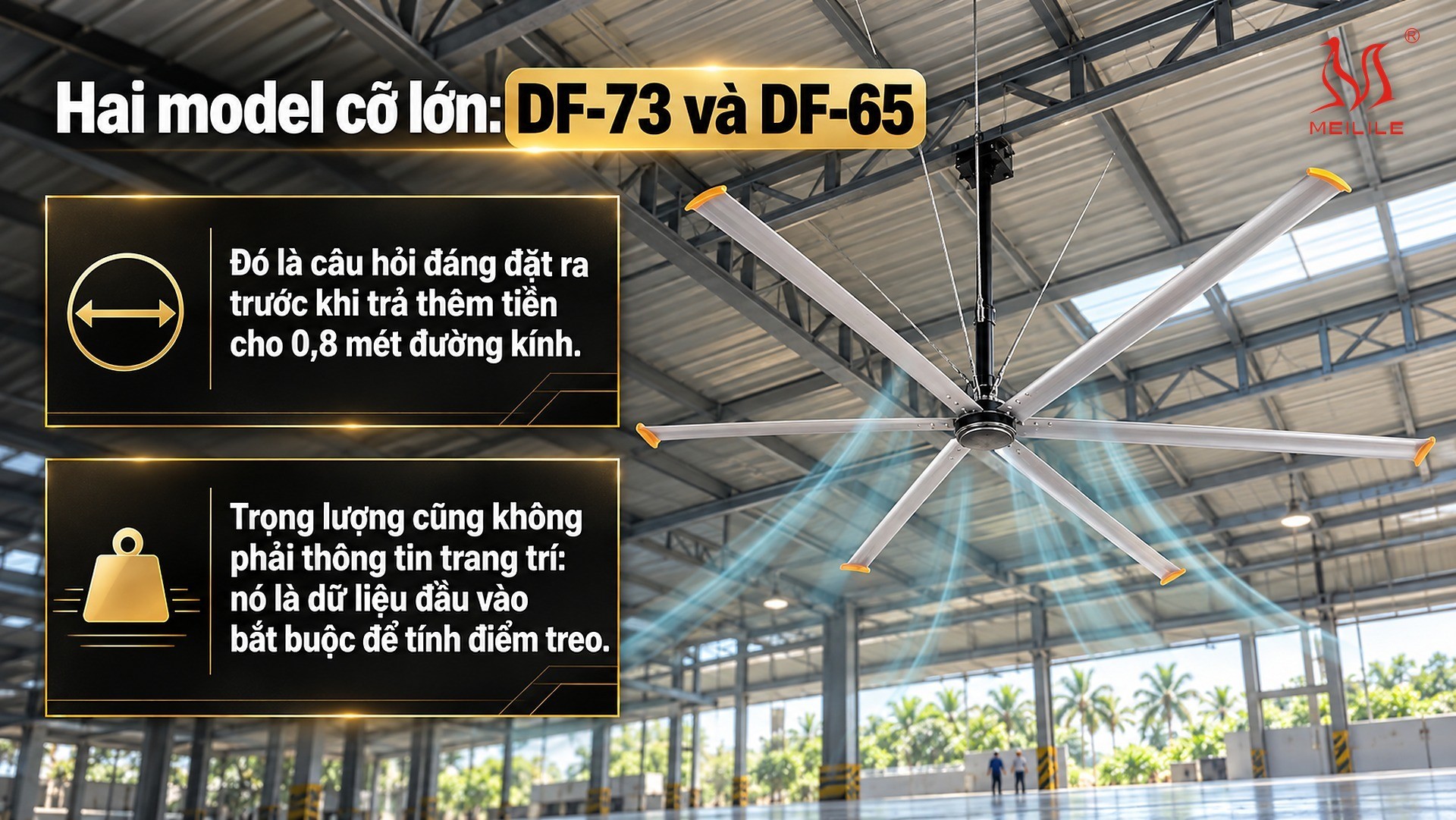 Hai model cỡ lớn: DF-73 và DF-65