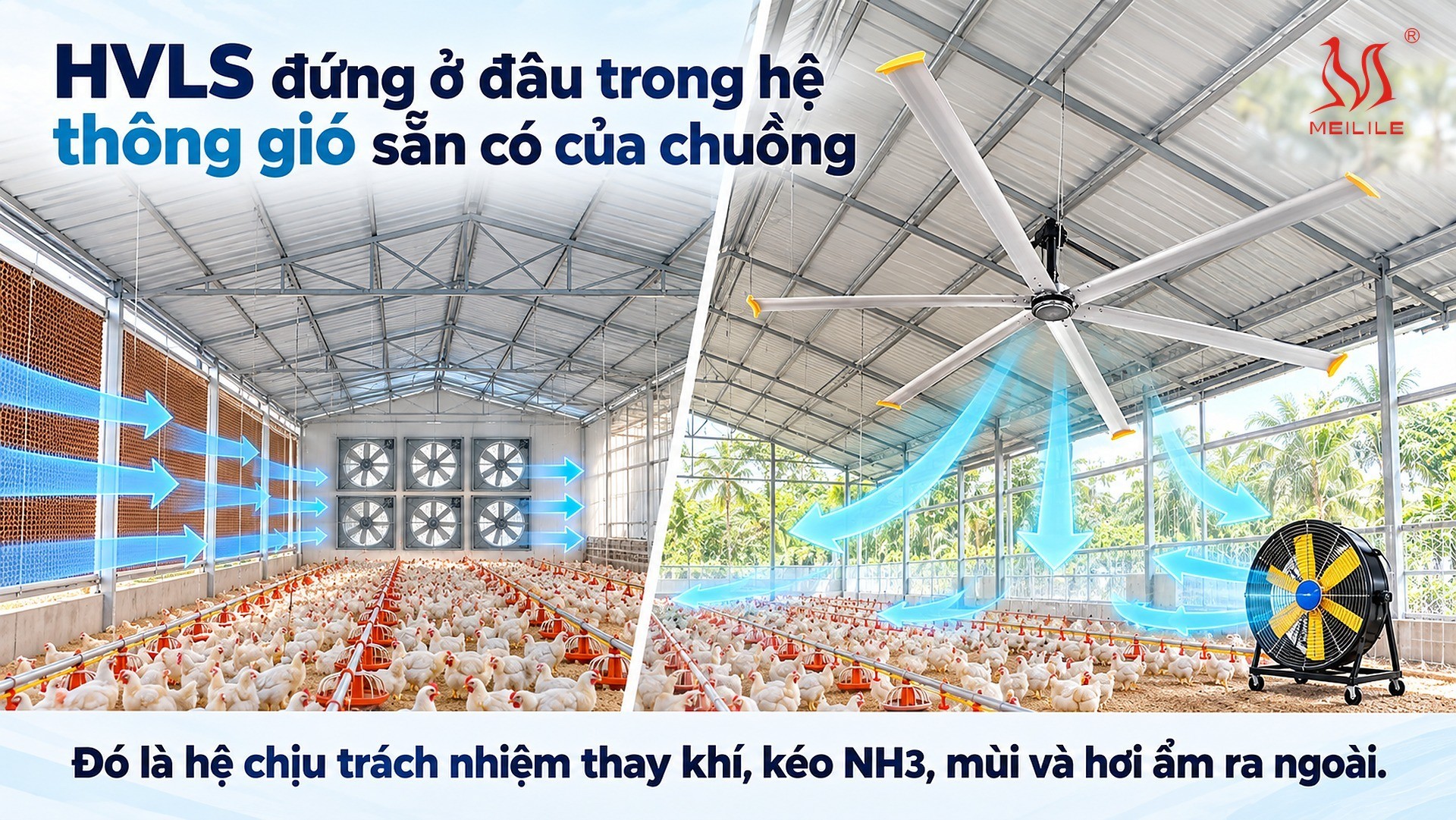 HVLS đứng ở đâu trong hệ thông gió sẵn có của chuồng