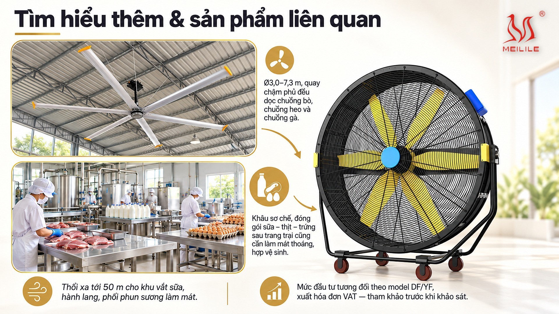 Tìm hiểu thêm & sản phẩm liên quan