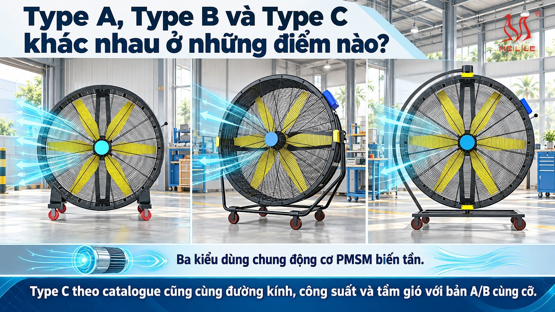 Type A, Type B và Type C khác nhau ở những điểm nào?