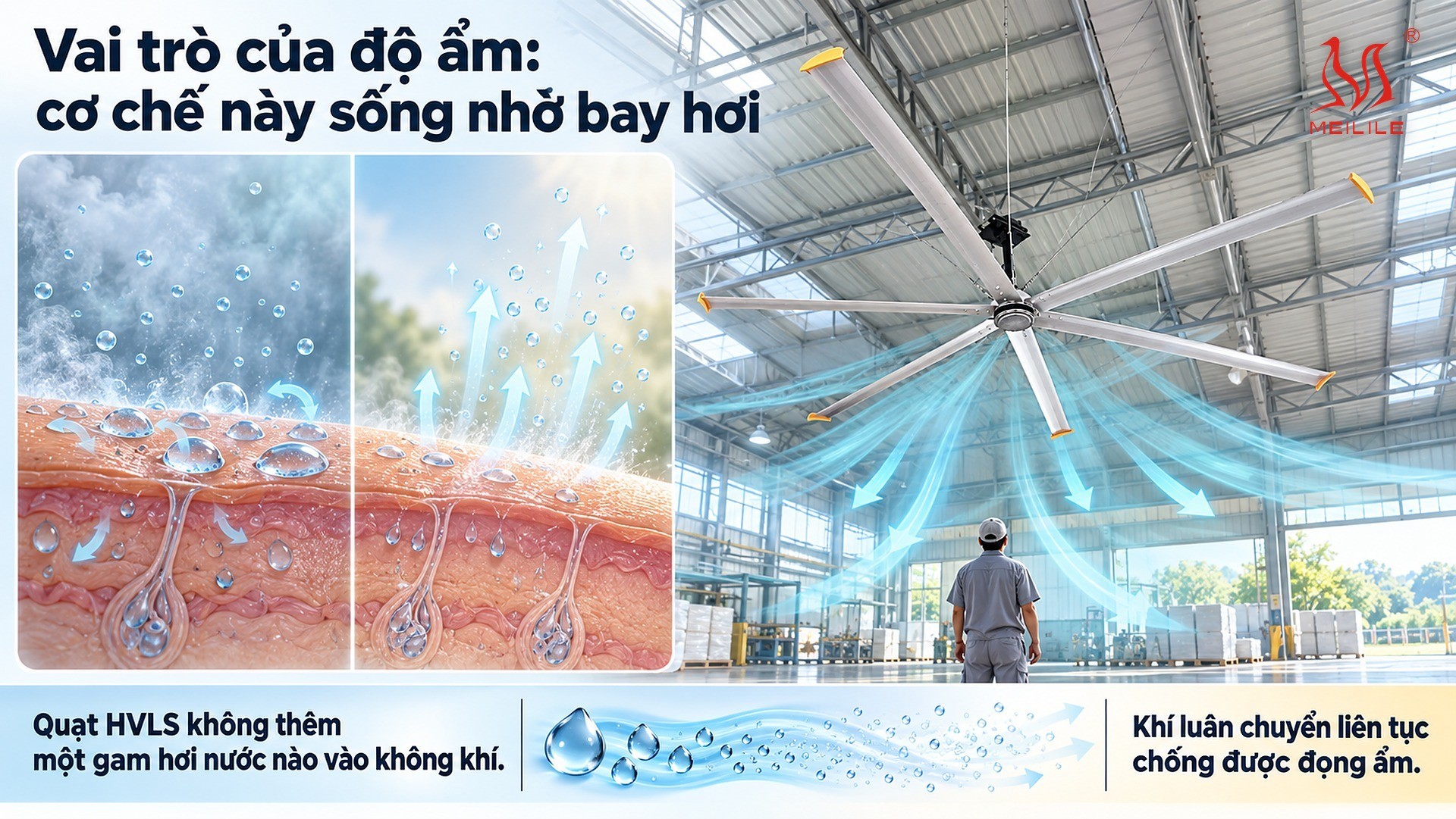 Vai trò của độ ẩm: cơ chế này sống nhờ bay hơi