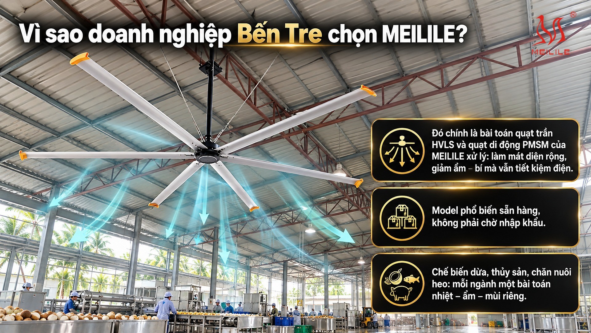 Vì sao doanh nghiệp Bến Tre chọn MEILILE?