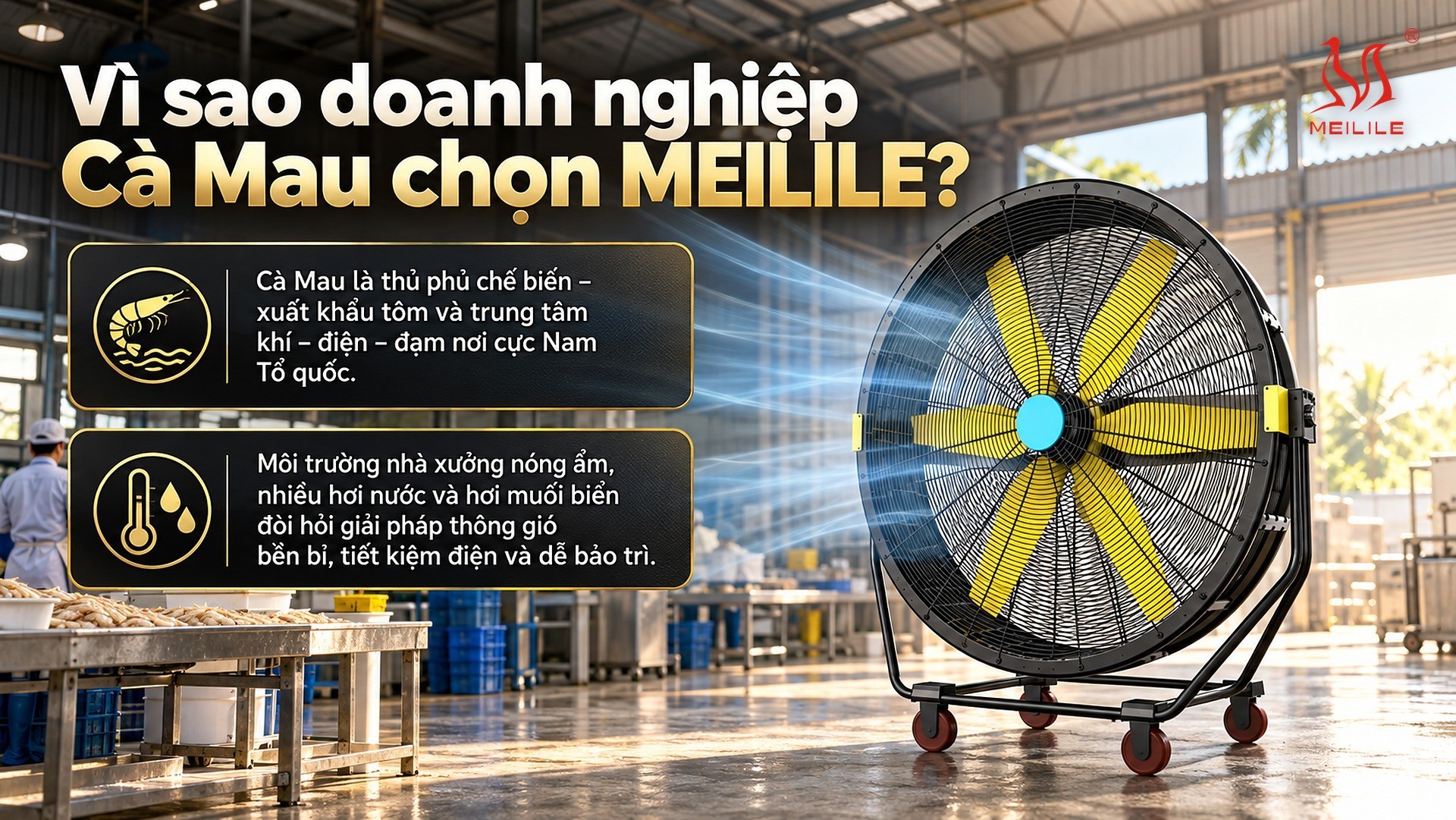 Vì sao doanh nghiệp Cà Mau chọn MEILILE?