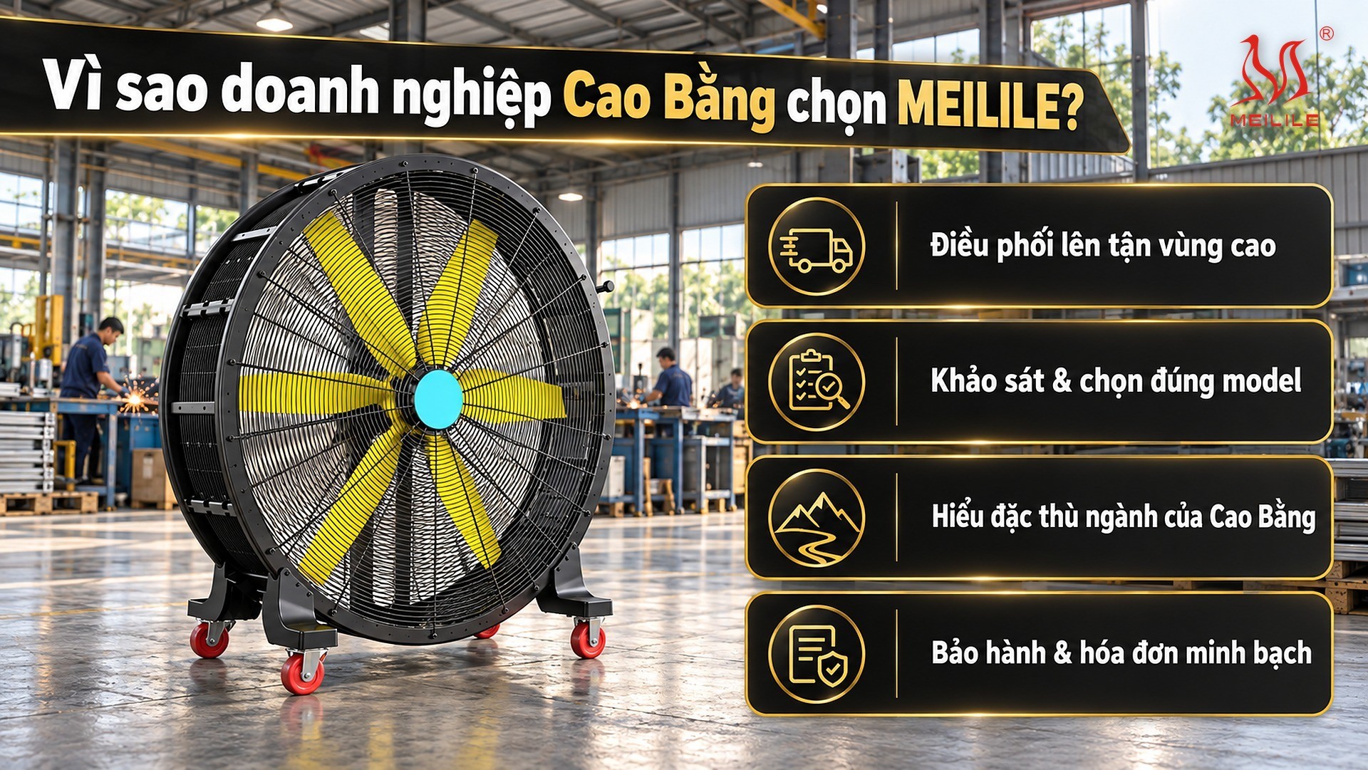 Vì sao doanh nghiệp Cao Bằng chọn MEILILE?