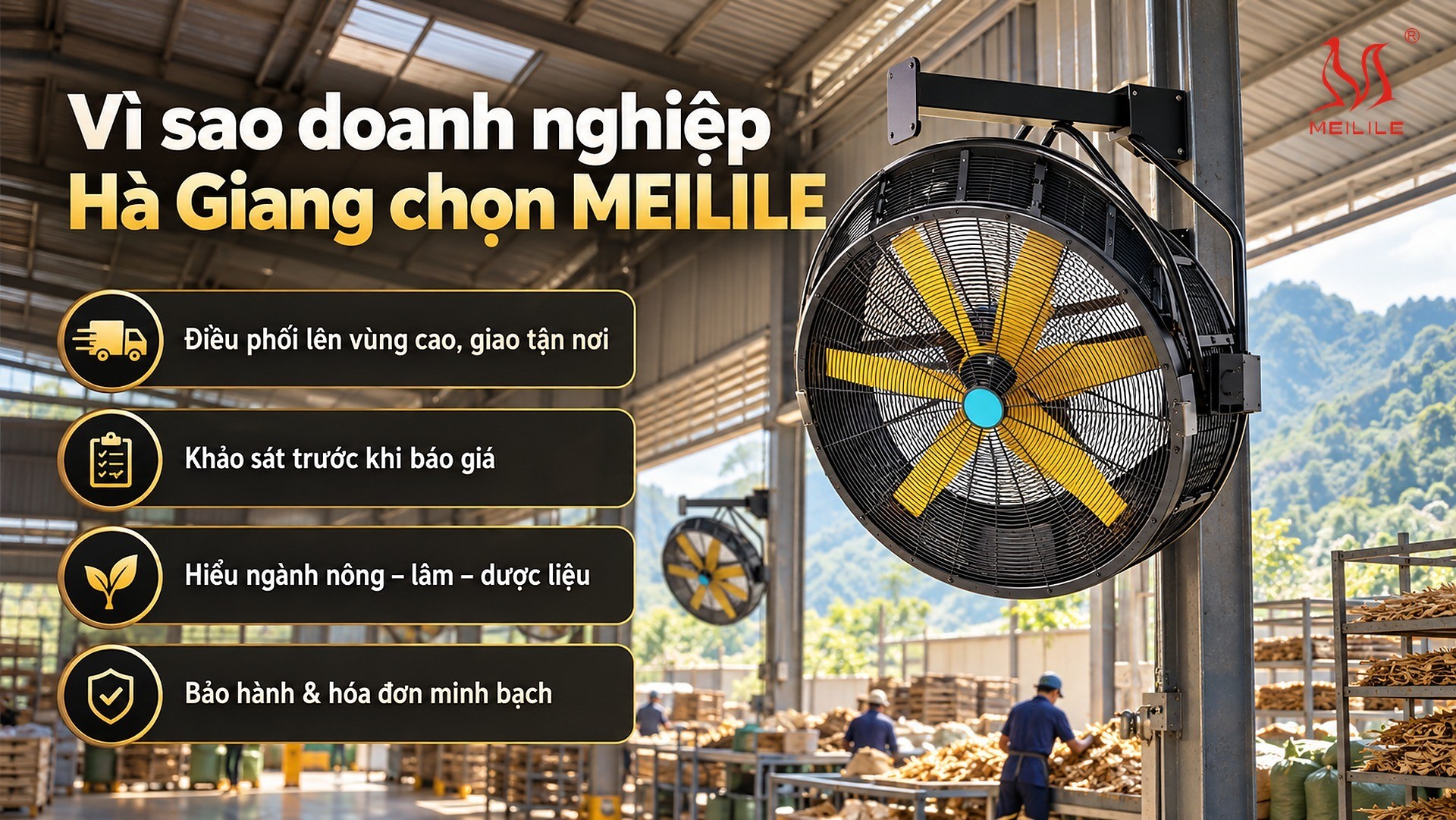 Vì sao doanh nghiệp Hà Giang chọn MEILILE