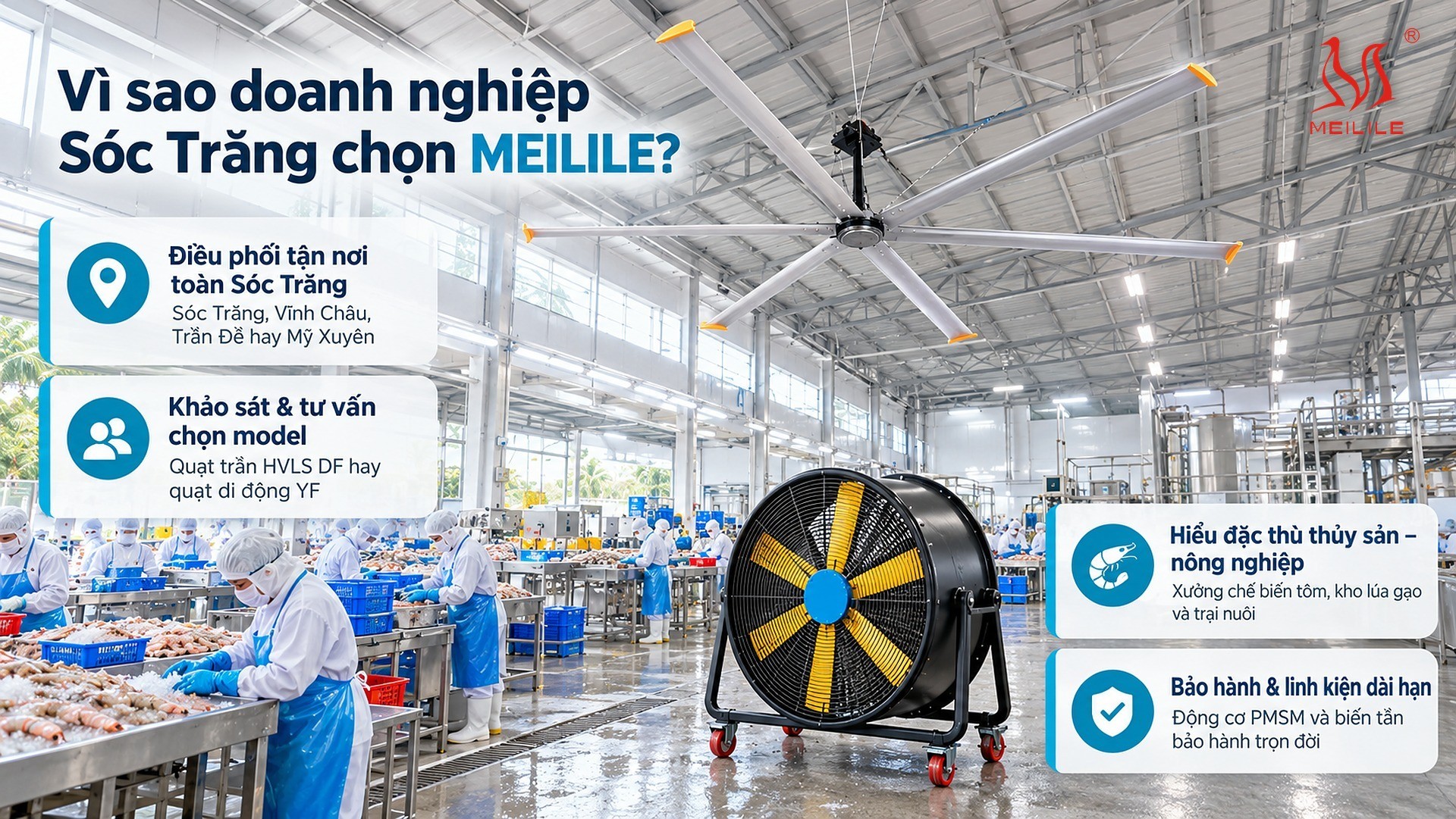 Vì sao doanh nghiệp Sóc Trăng chọn MEILILE?