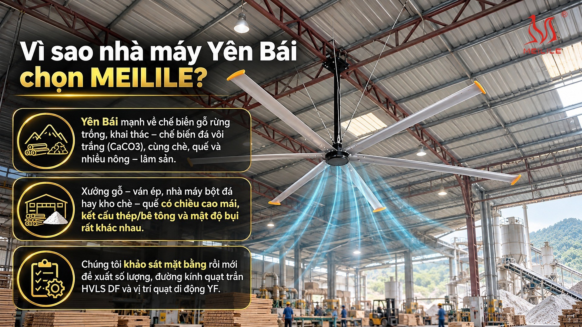 Vì sao nhà máy Yên Bái chọn MEILILE?