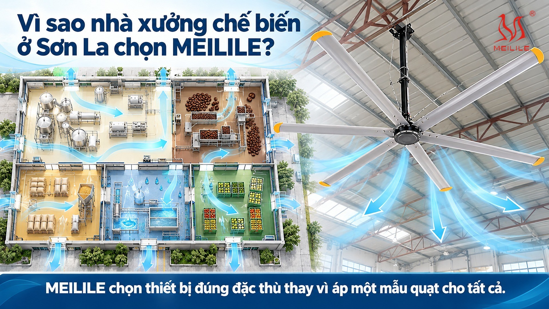 Vì sao nhà xưởng chế biến ở Sơn La chọn MEILILE?