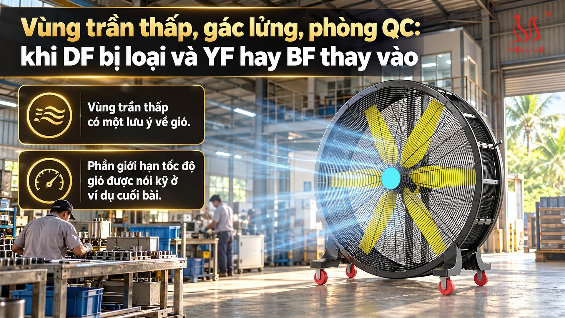 Vùng trần thấp, gác lửng, phòng QC: khi DF bị loại và YF hay BF thay vào